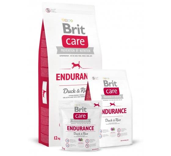 BRIT CARE ENDURANCE 3kg BRIT CARE ENDURANCE 3kg