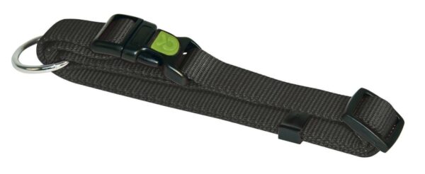KERBL Obroża dla psa Miami 40-55cm x 20 mm
